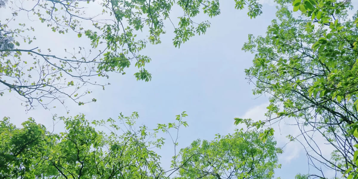 人を回復させる家つくり